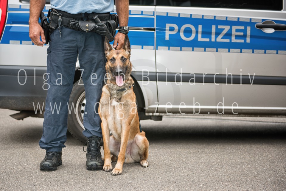 Polizei Hund